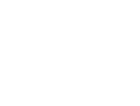 logo communauté de communes du pays loudunais blanc